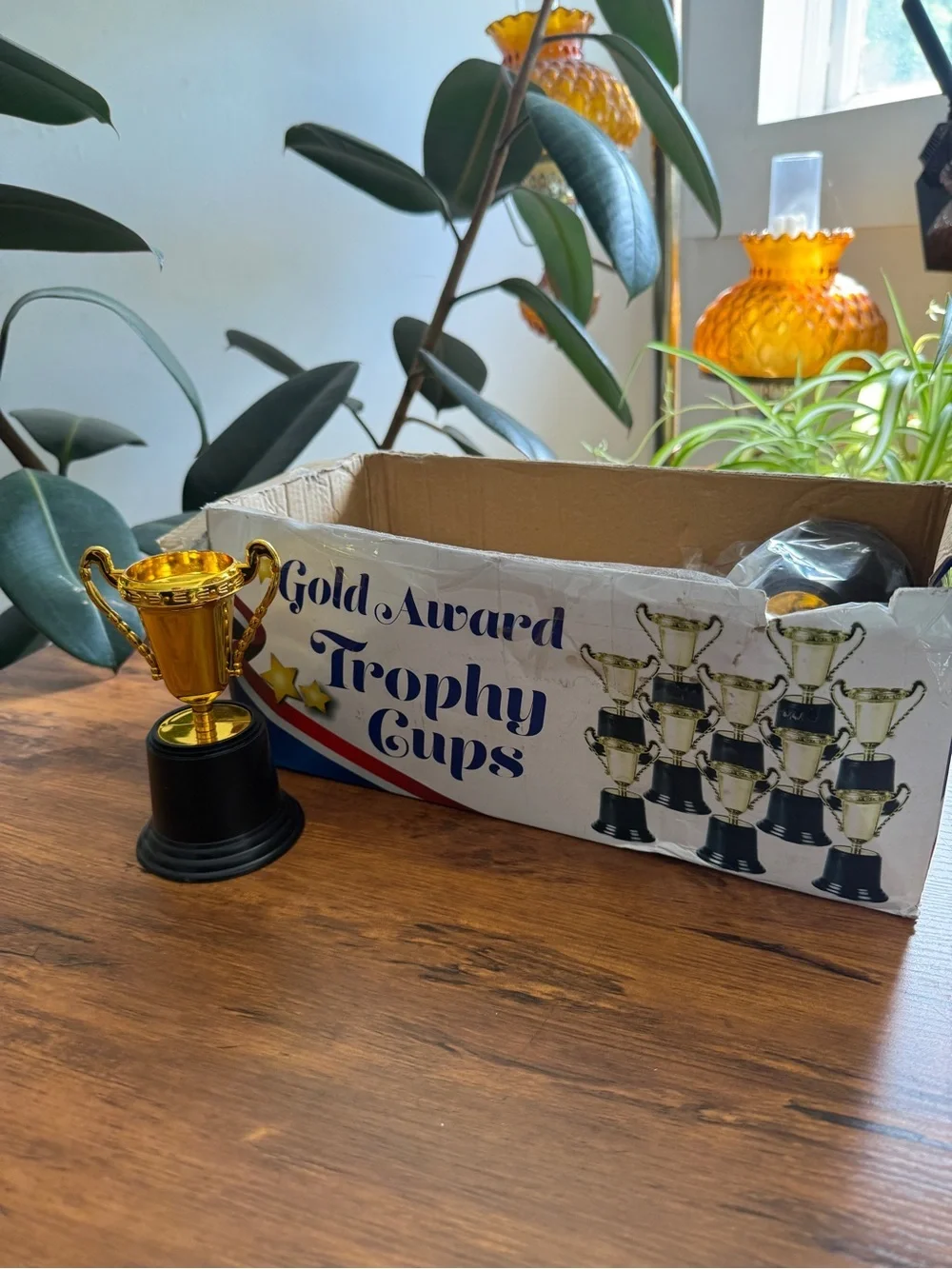 Gold Award Trophy Cups - Classic Gold and Black 6 pieces